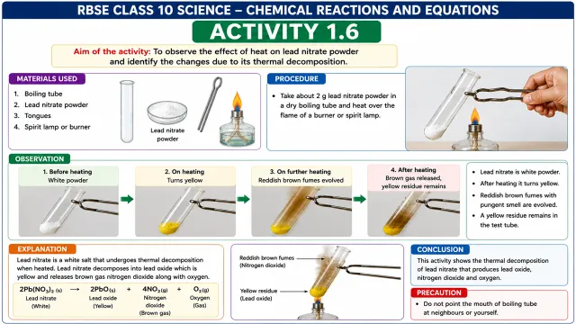 RBSE Class 10 Science Chapter 1 Activity 1.6 Solution RBSE Class 10 Science Chapter 1 Activity 1.6 Solution