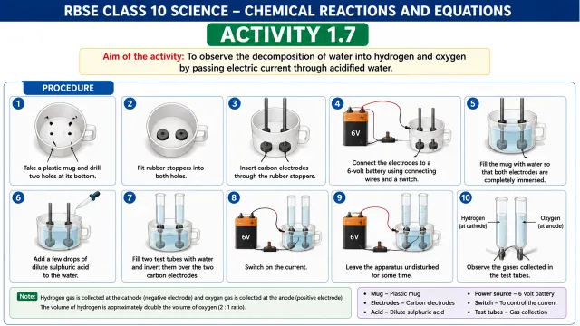 RBSE Class 10 Science Chapter 1 Activity 1.7 Procedure